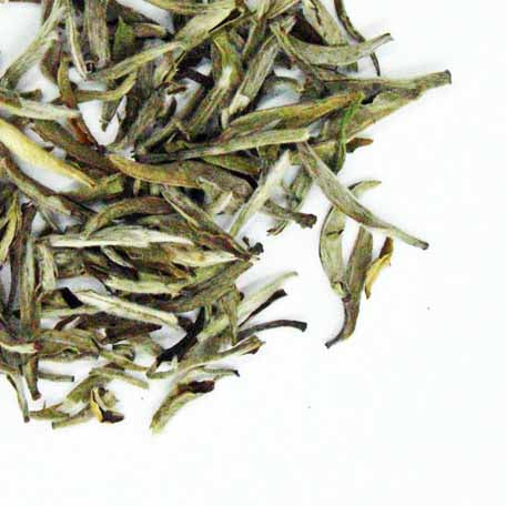 Thés blancs