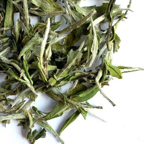 Bai Mu Dan