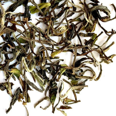 Jun Chiyabari 1st Flush